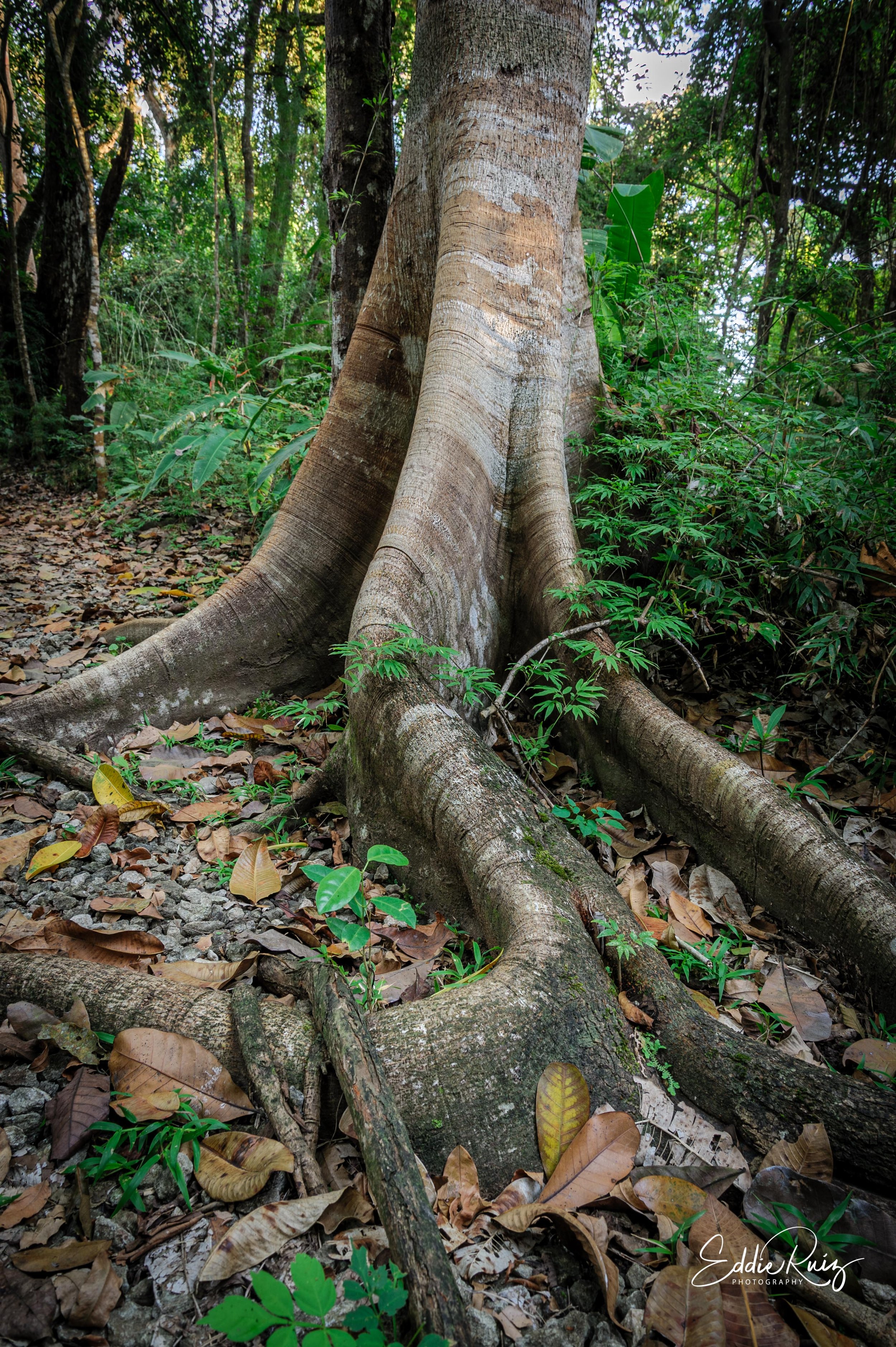 DSC_5423-HDR-HDR.jpg