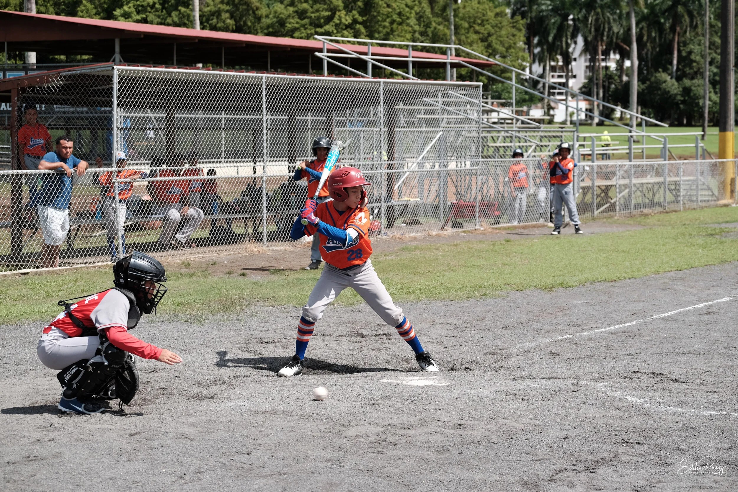 Baseball-2.jpg