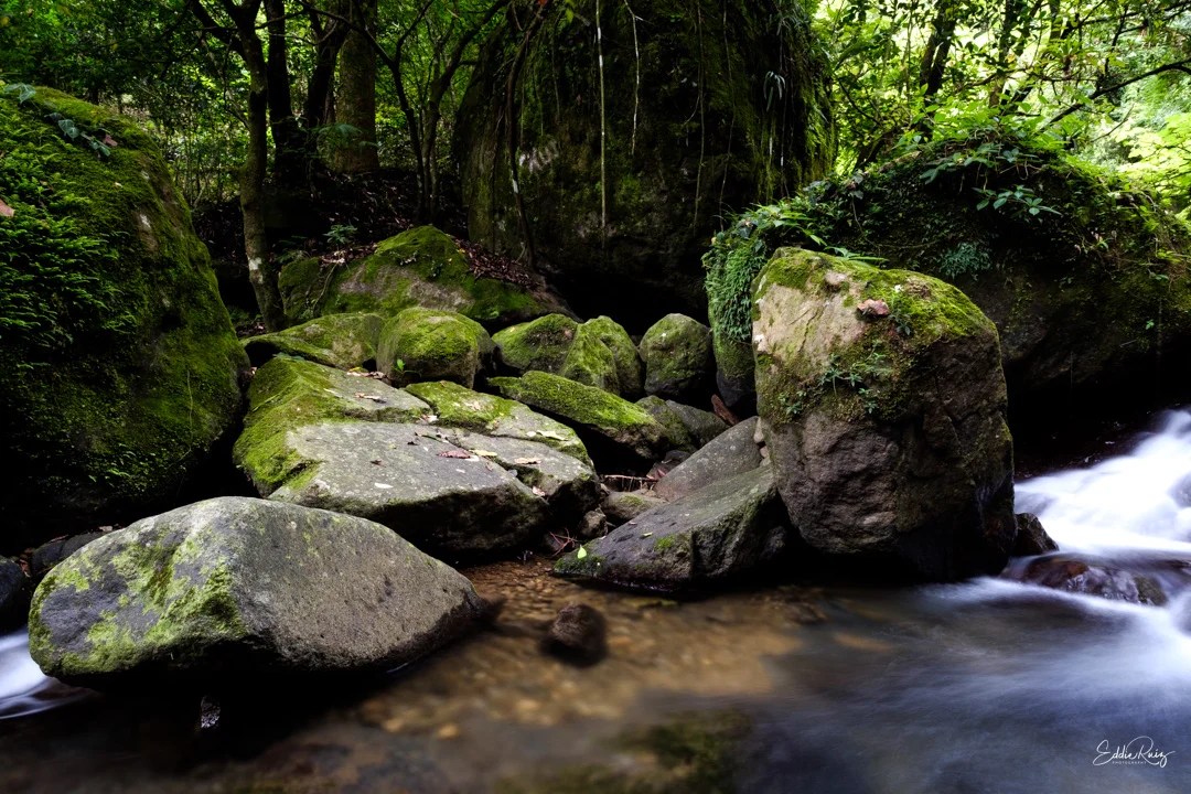 Landscape-14.jpg