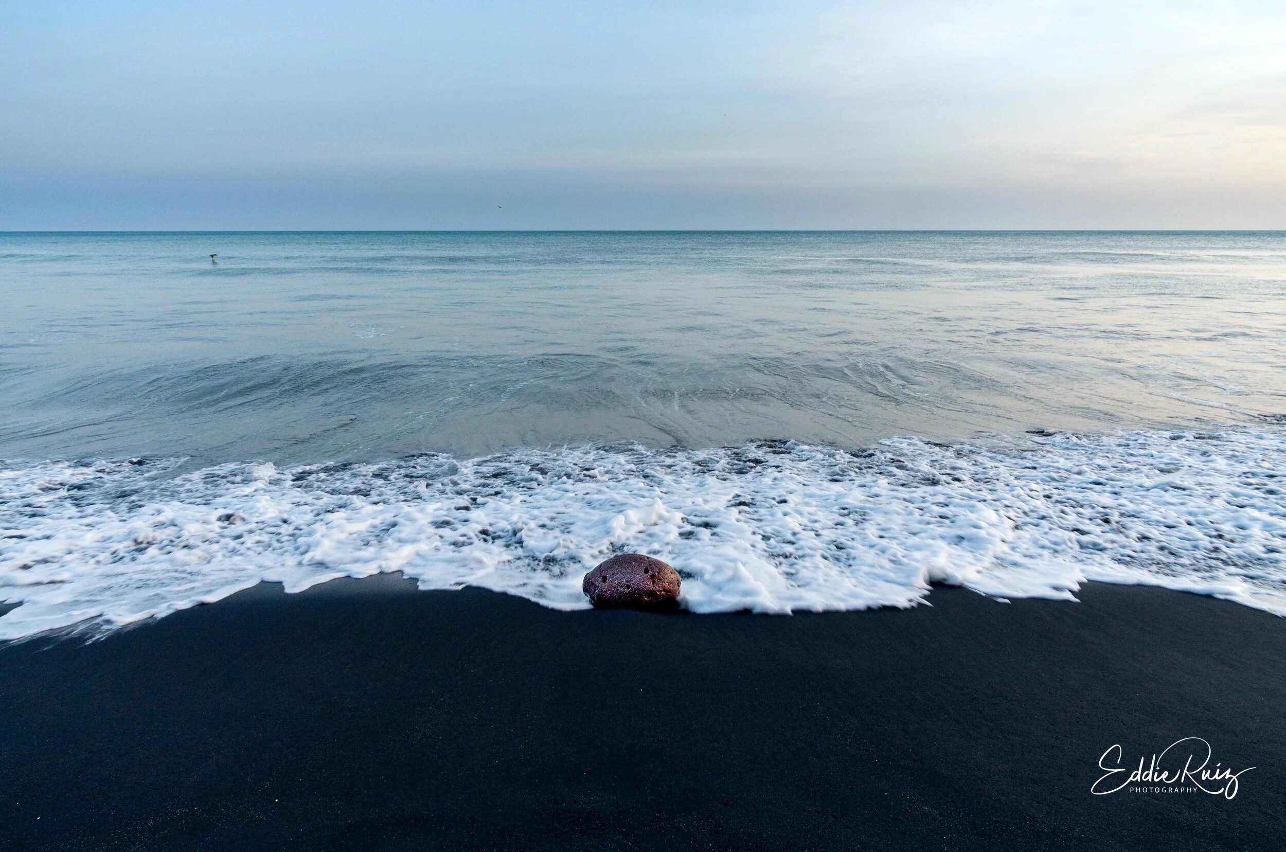 IMGP9844-Edit.jpg