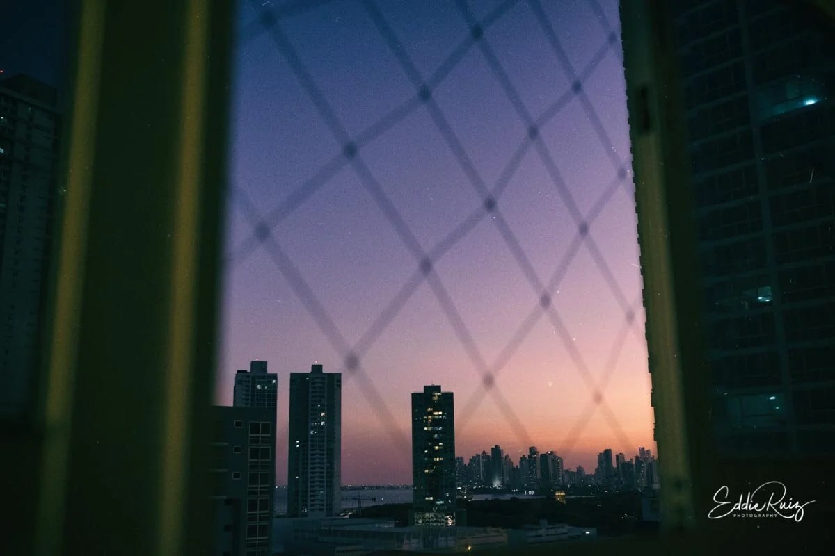 quarantine-4.jpg