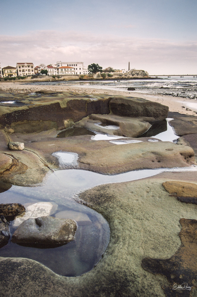 Landscape-8.jpg