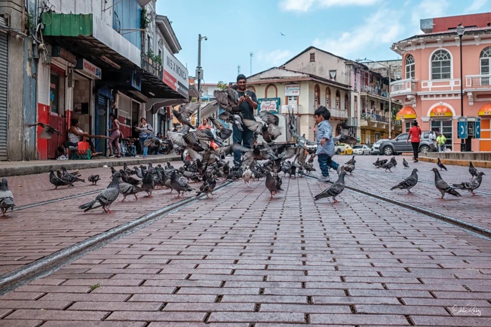 Street-10.jpg