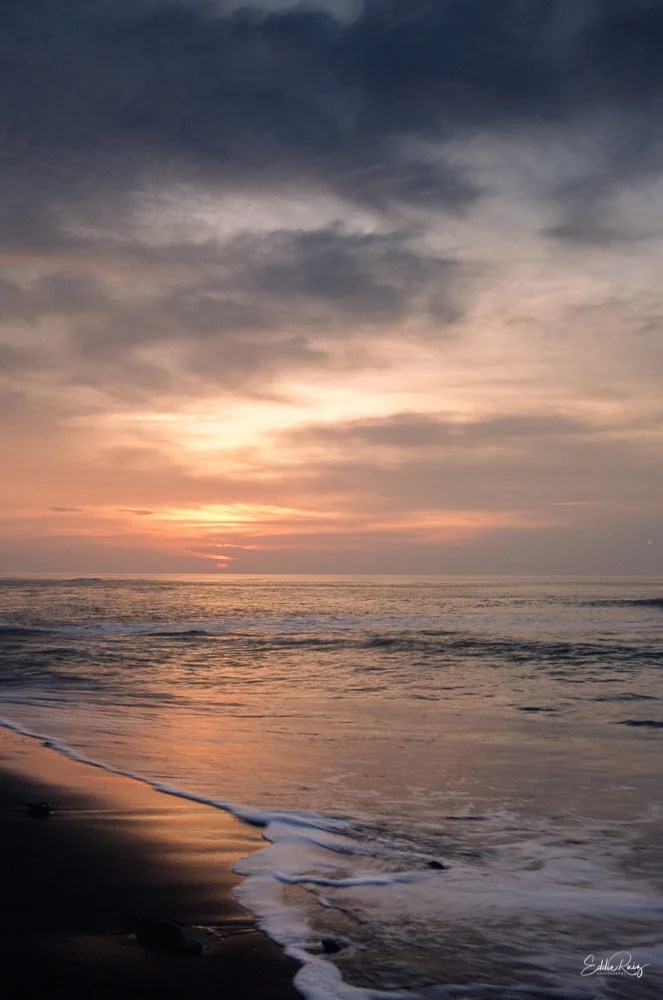 Landscape-4.jpg