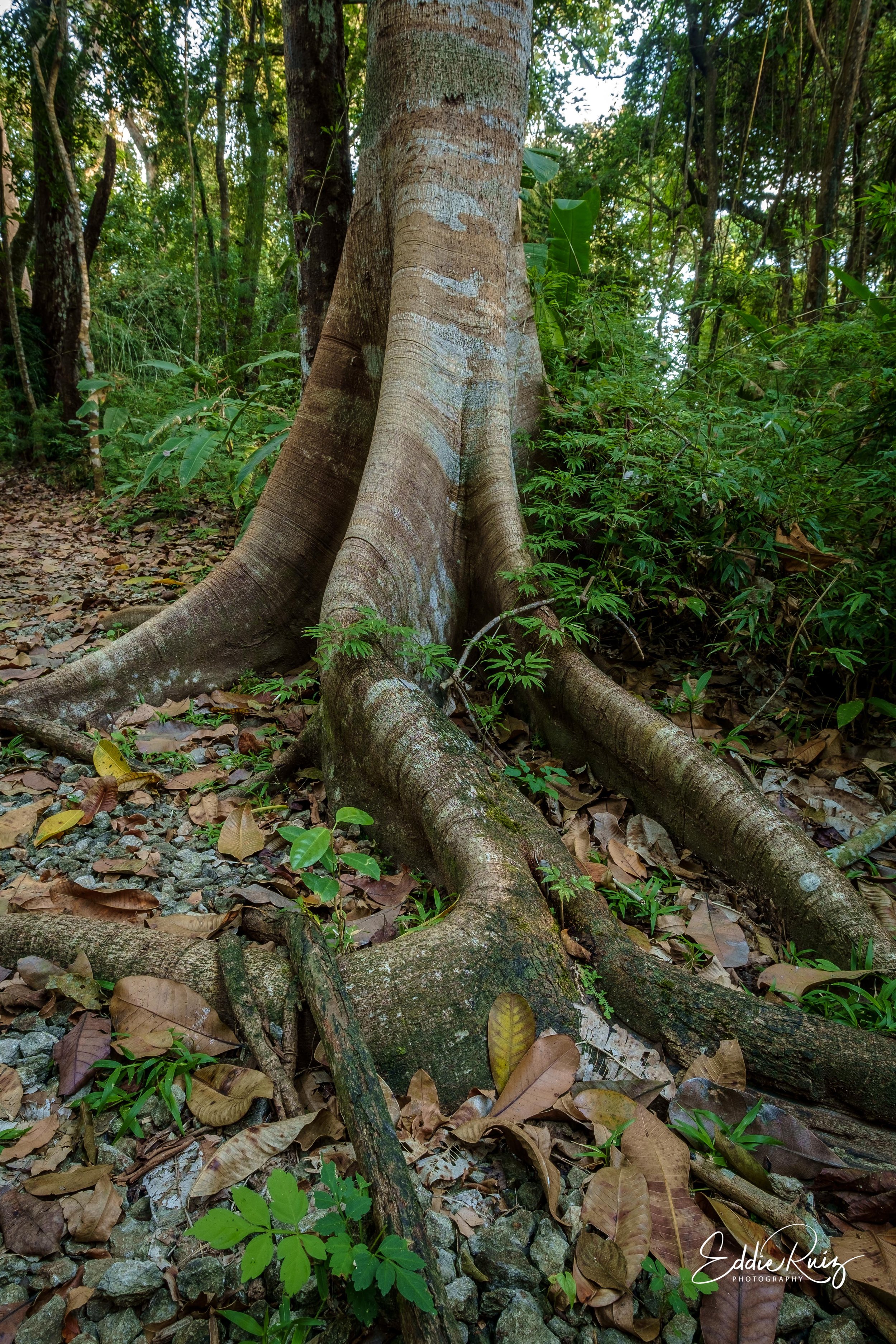 DSCF0010-HDR.jpg