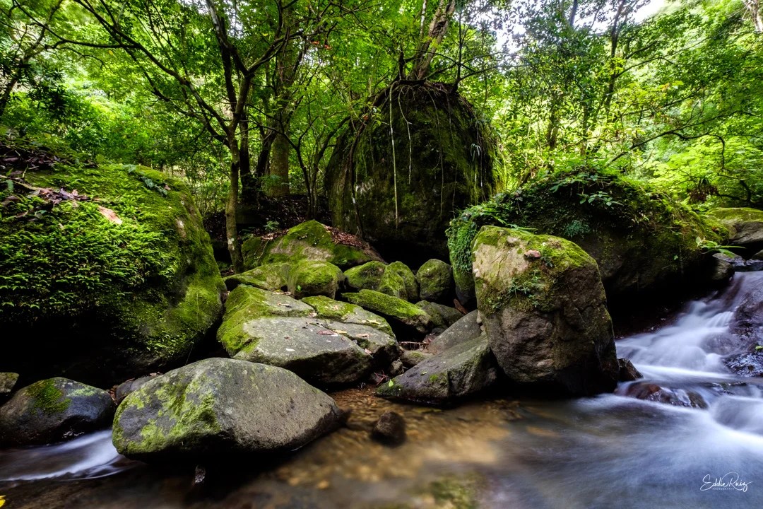 Landscape-15.jpg
