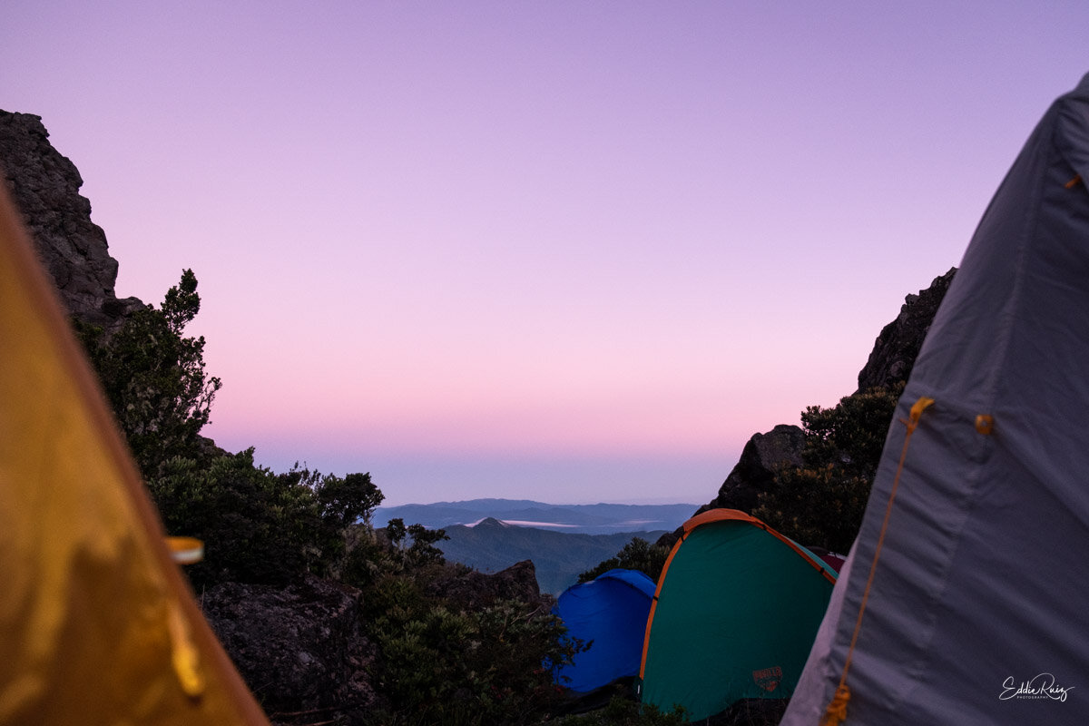 From inside the cover of my tent with the Fuji X-T1