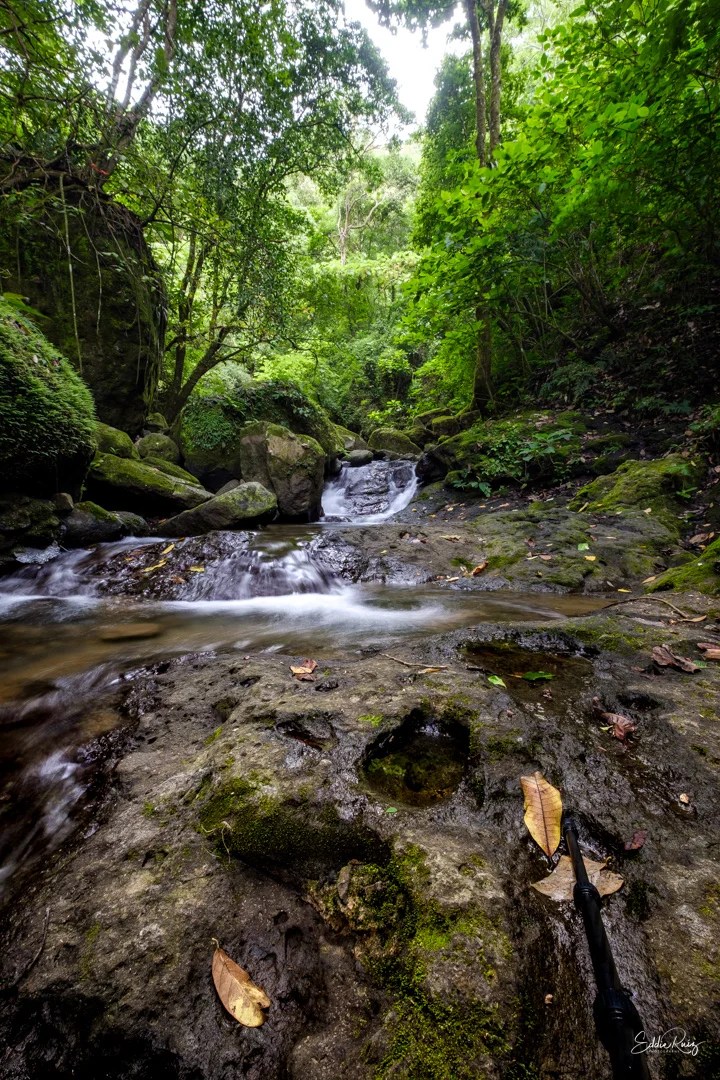 Landscape-9.jpg
