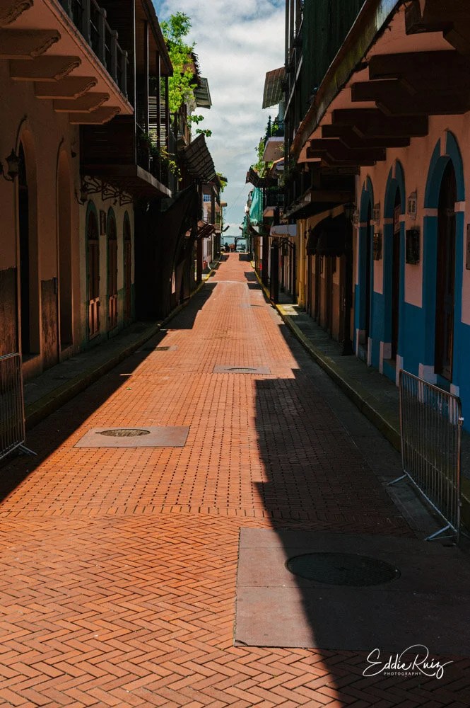 D700-5.jpg