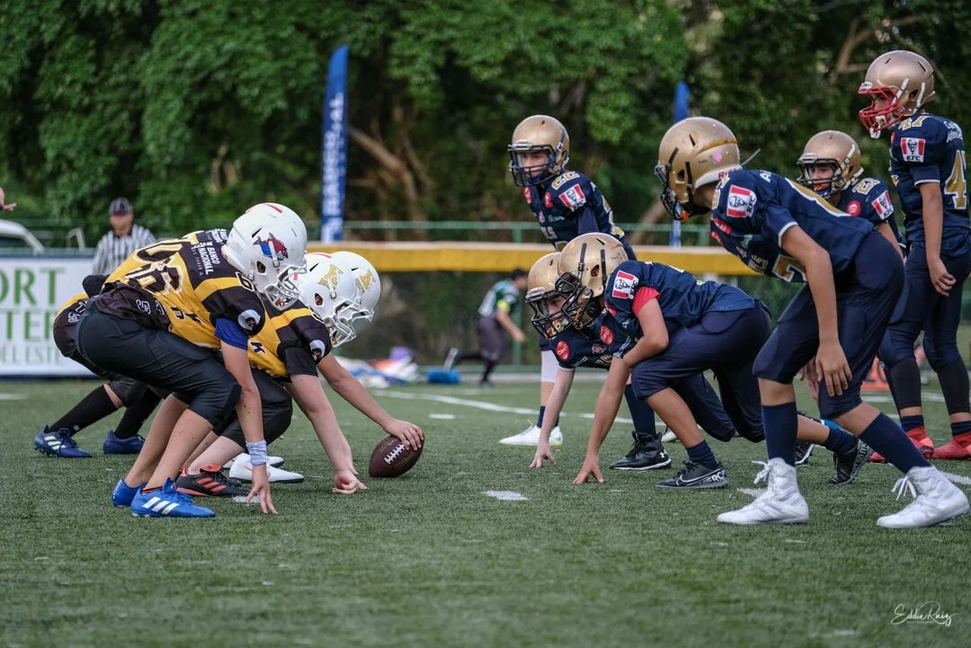 Jamboree-6.jpg