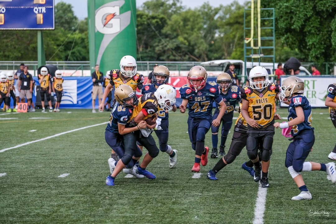 Jamboree-8.jpg