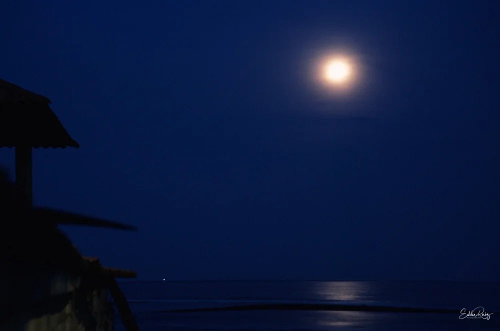 Landscape-16.jpg