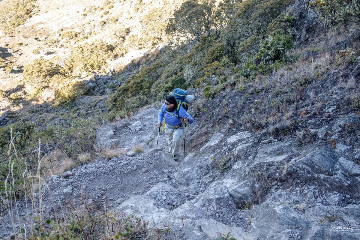 Volcan Rated-15.jpg