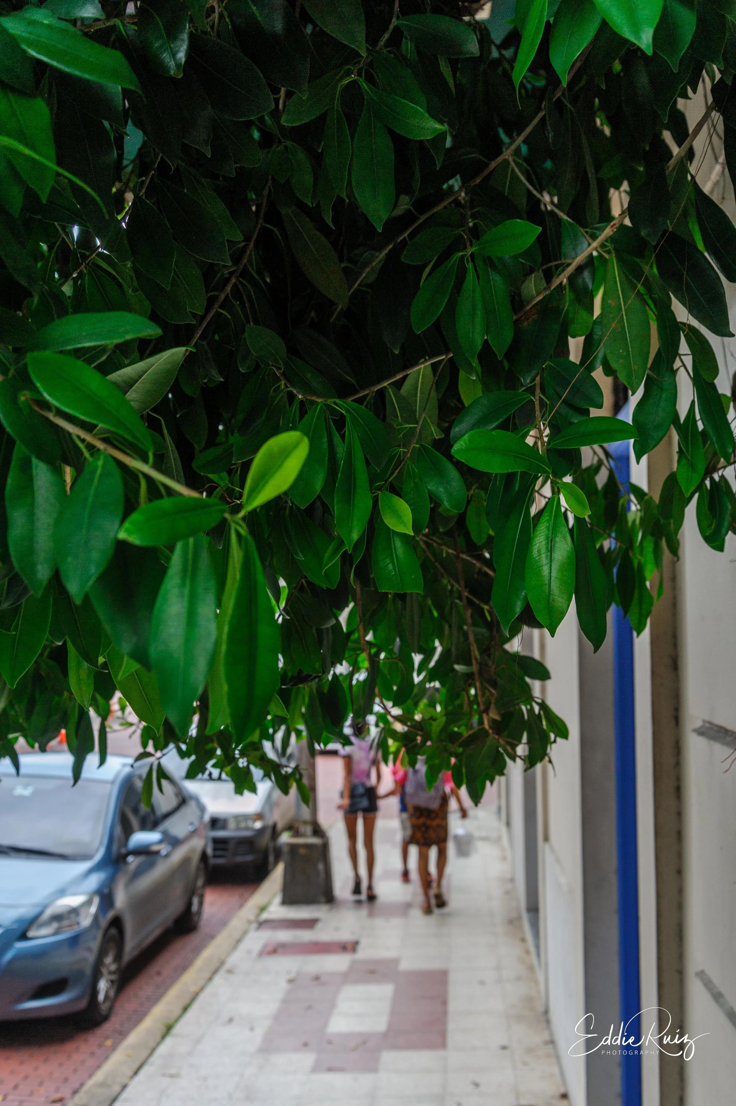 D700-5.jpg