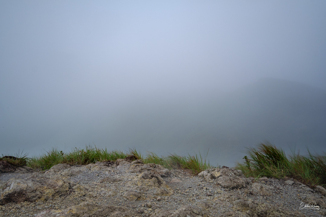 Landscape-5.jpg