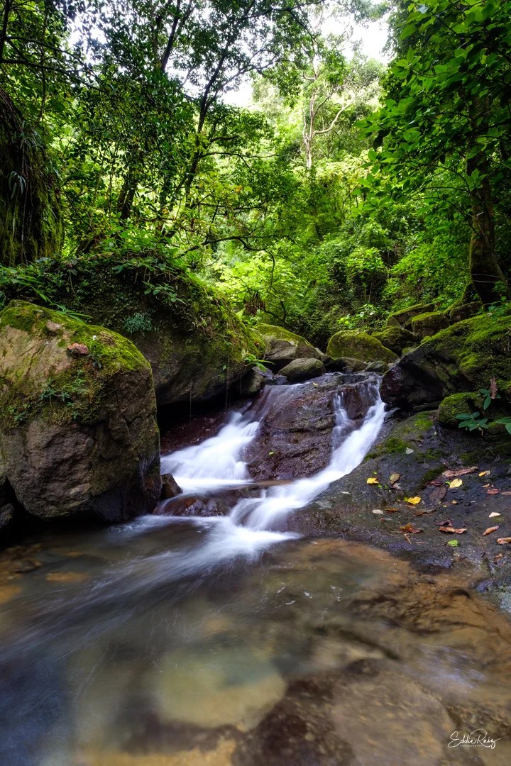 Landscape-11.jpg