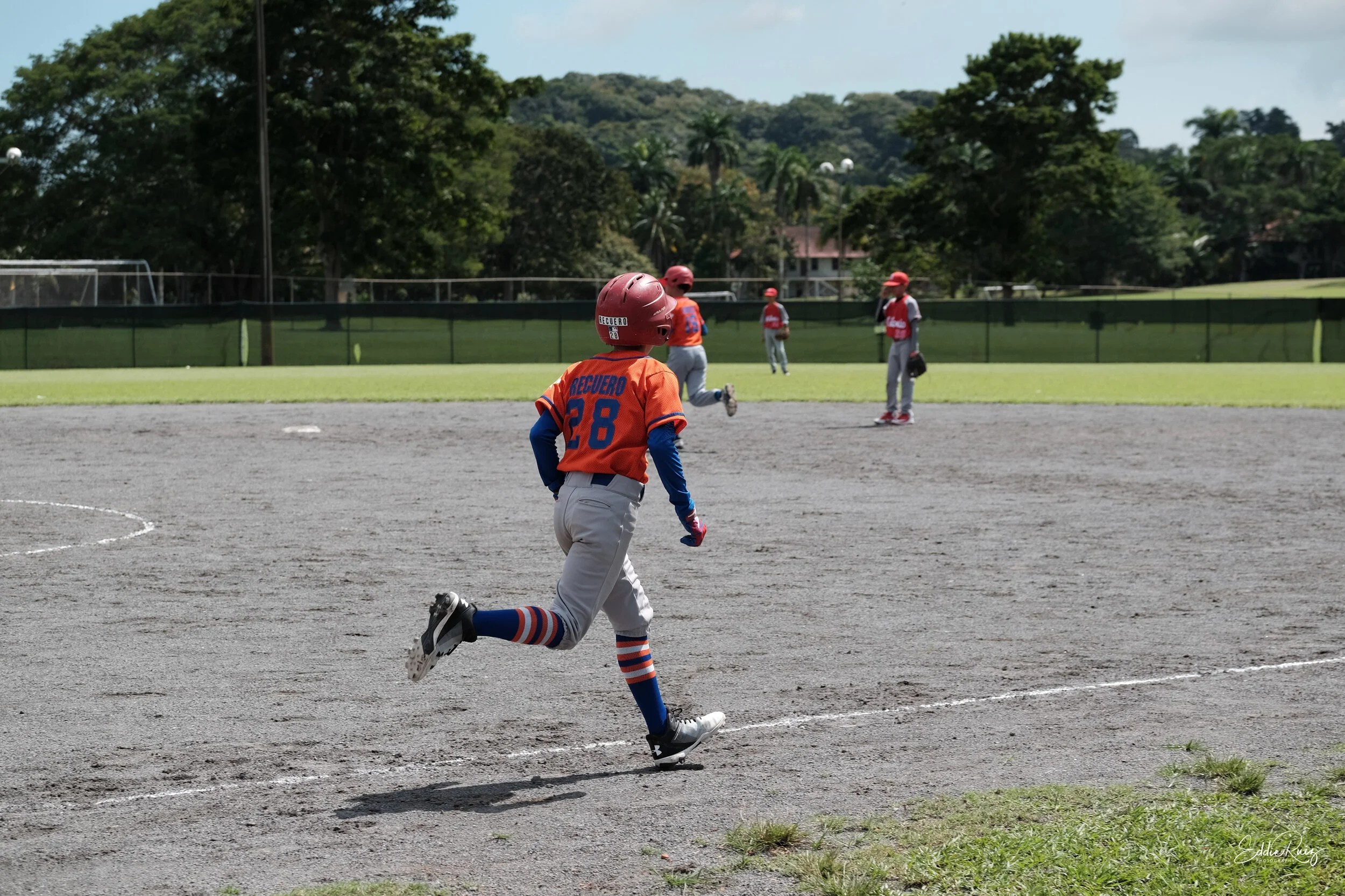 Baseball-4.jpg