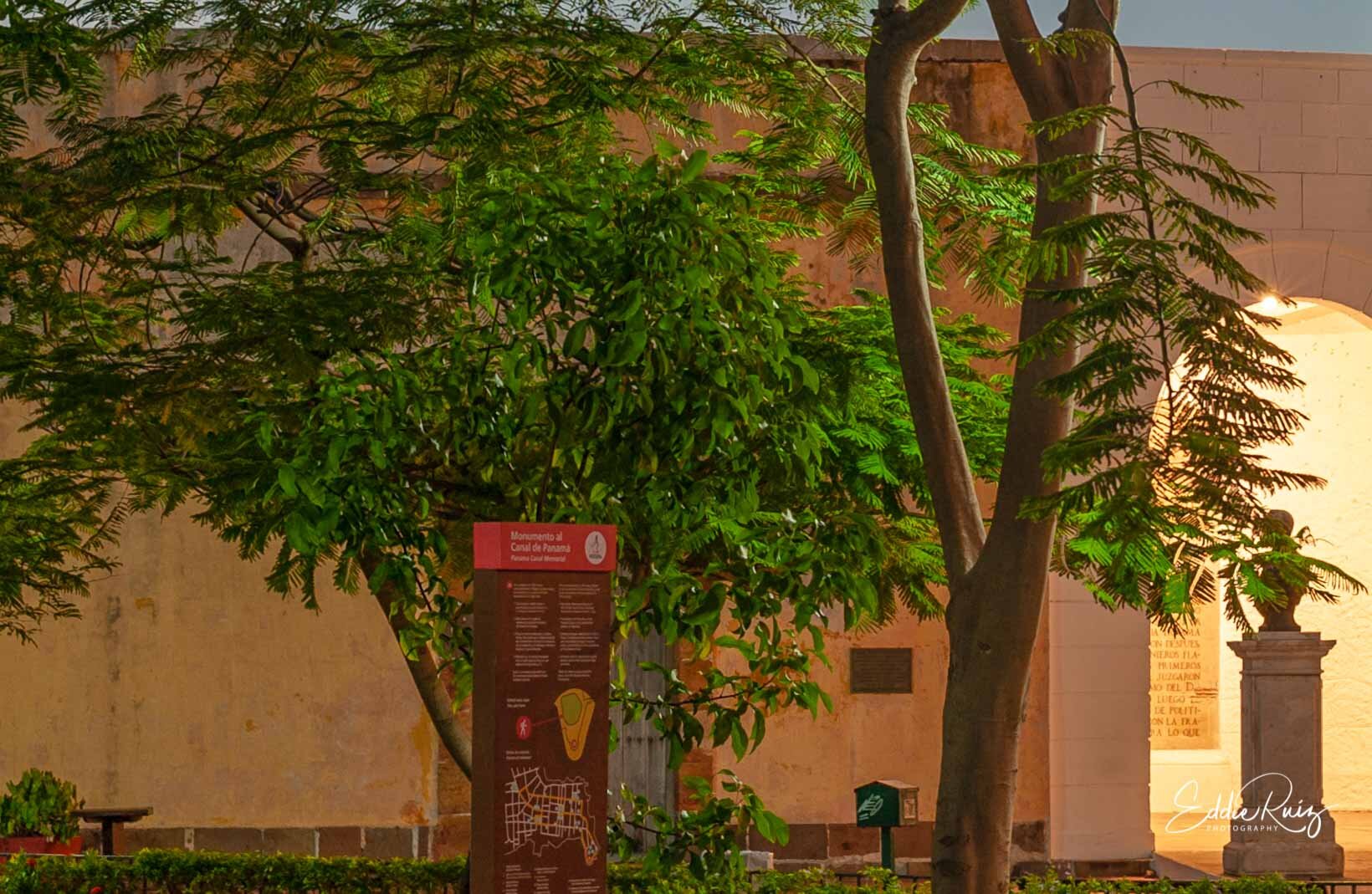 D700leaf-1.jpg
