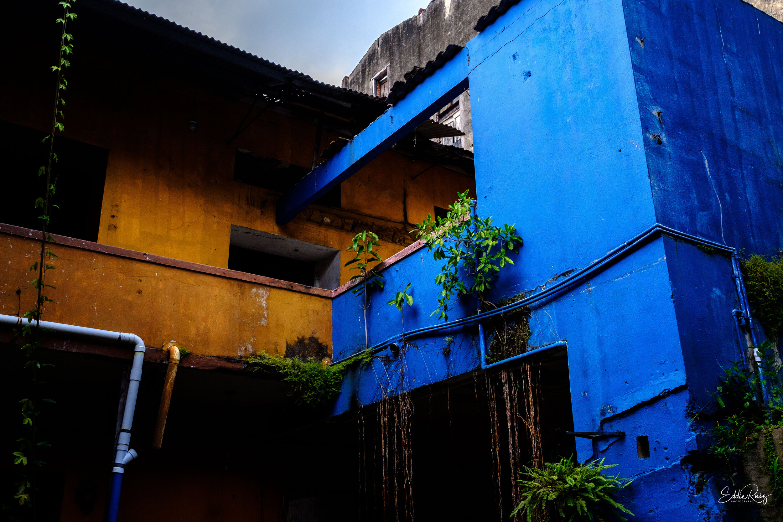 Street-18.jpg