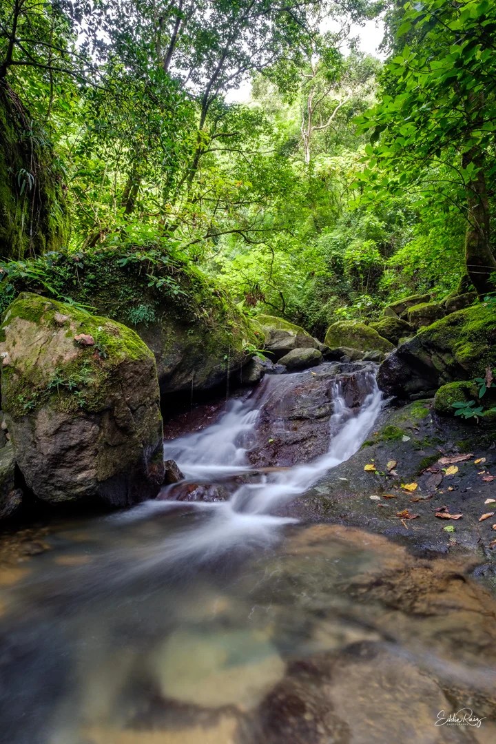 Landscape-12.jpg