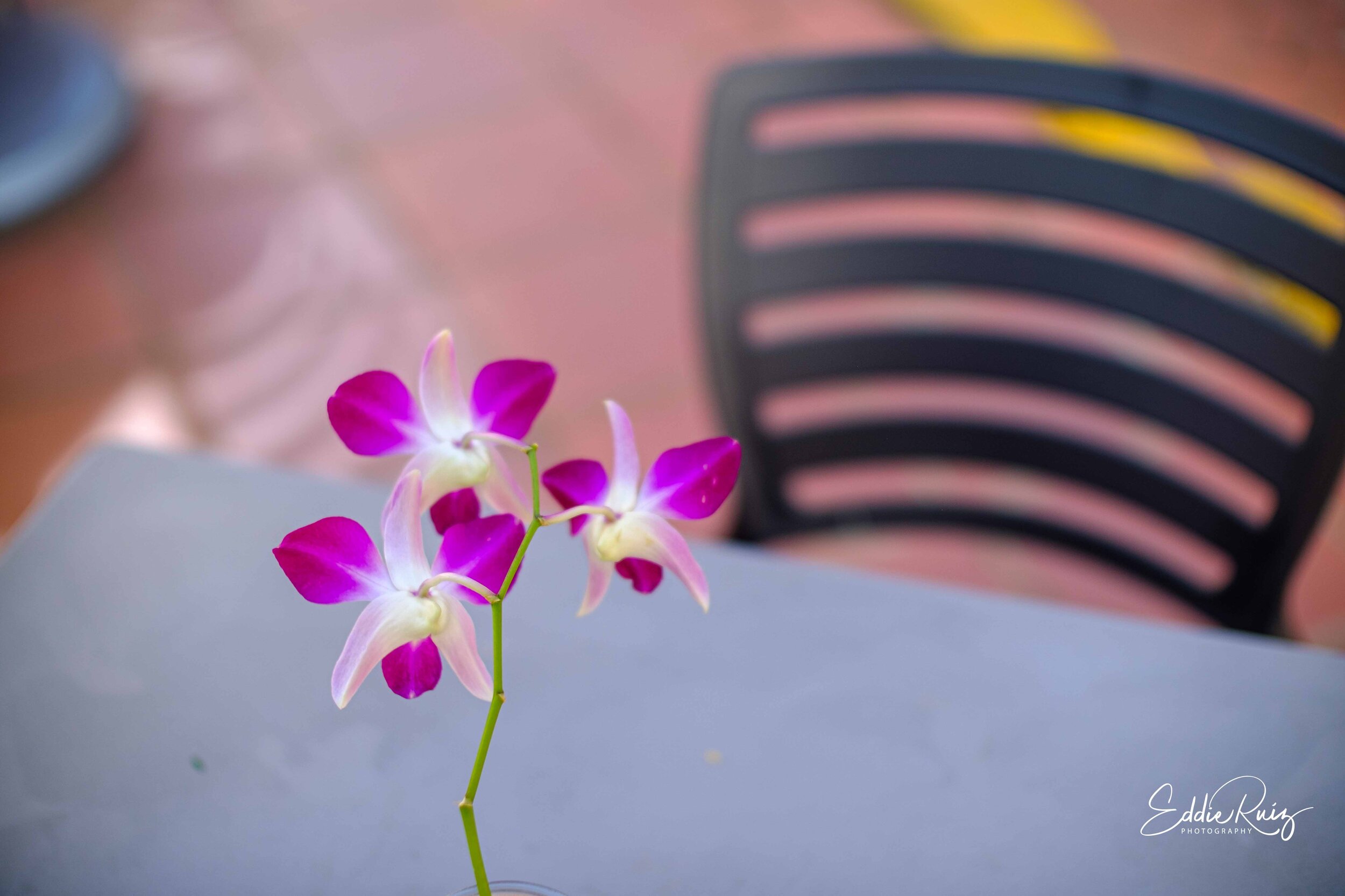 XT20-2.jpg