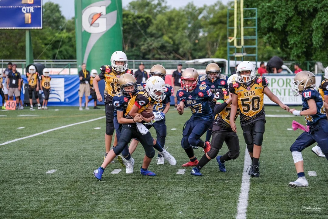 Jamboree-7.jpg